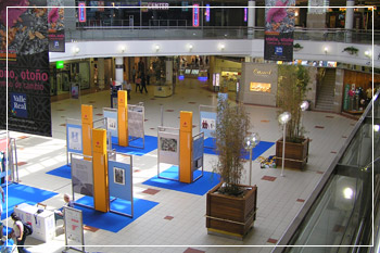 Visitas a la exposición