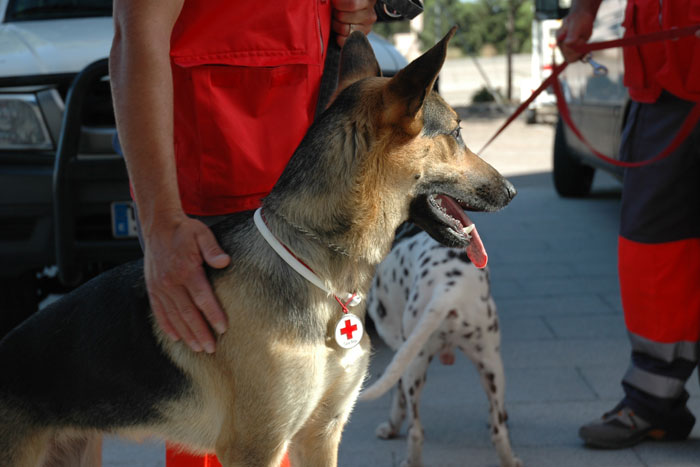 Cruz Roja Española