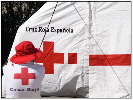 Activitat desenvolupada pel voluntariat Activitat desenvolupada pel voluntariat