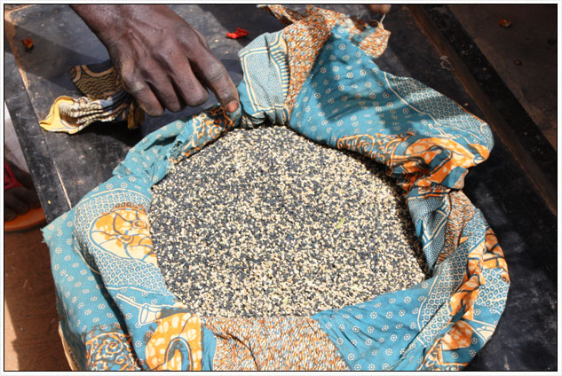 Semillas y actividades agrcolas en Nger, donde la inseguridad alimentaria es crnica. ©Isabel de Blas/CRE