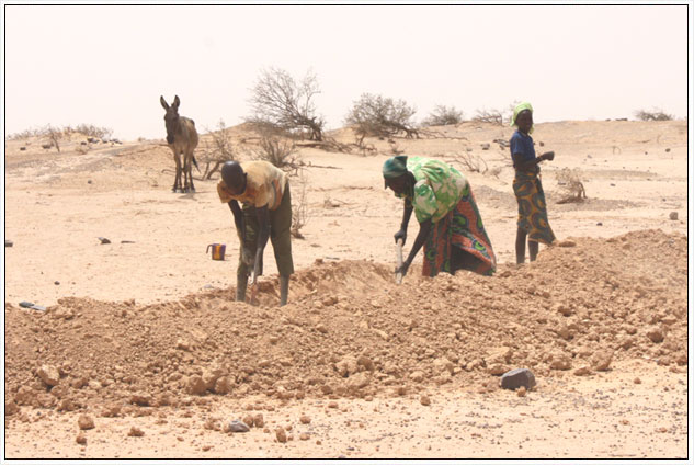 Semillas y actividades agrcolas en Nger, donde la inseguridad alimentaria es crnica. ©Isabel de Blas/CRE