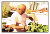 Hort urb de l'Espai Pozas, a Madrid