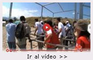 Ir al vdeo