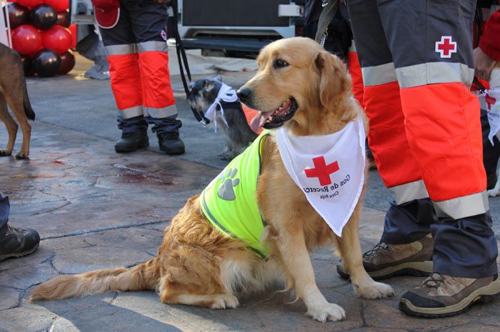 Cruz Roja Española