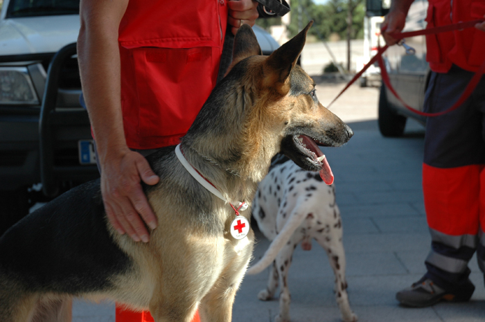 Cruz Roja Española