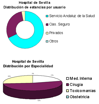 Hospital de Sevilla. Estancias principales clientes y Distribución por Especialidad