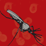 Ir a la página de la exposición de la Malaria en la Biblioteca Nacional