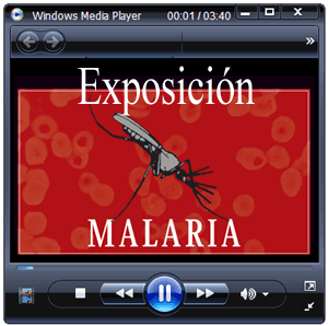 Descargar el vídeo de la Exposición Malaria. (Formato wmv)