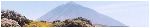 Tenerife