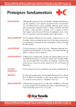 Principios Fundamentales  (Gallego)