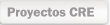 Proyectos de Cooperaci�n Internacional