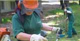 EMPLEO