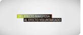 Del efecto mariposa