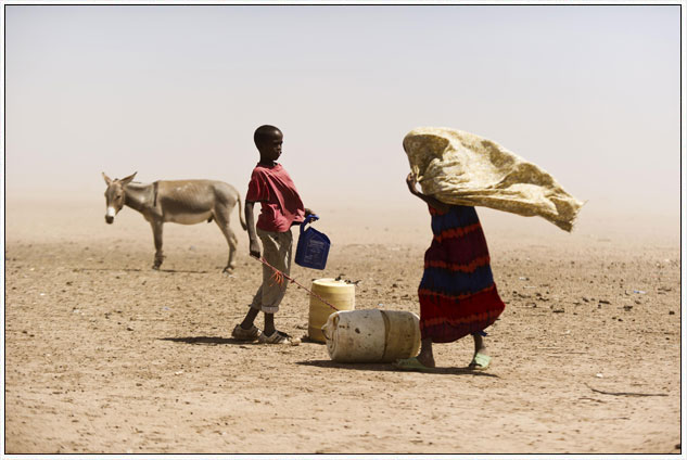 Crisis alimentaria en el Cuerno de África