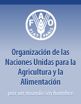 Imagen Destacamos