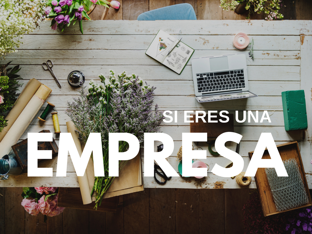 Te ofrecemos una alianza