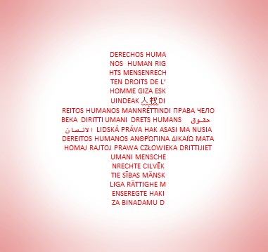 Curso online Derechos Humanos